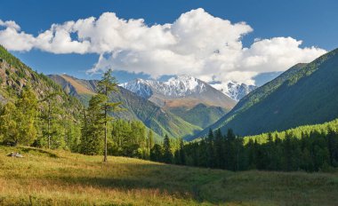 Güzel sonbahar manzara, Altay Dağları Rusya.