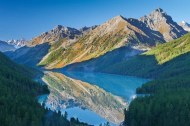 Güzel sonbahar manzara, Altay Dağları Rusya.