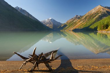 Güzel sonbahar manzara, Altay Dağları Rusya.
