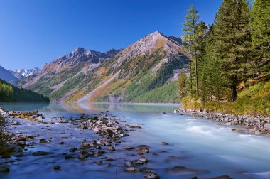Güzel sonbahar manzara, Altay Dağları Rusya.
