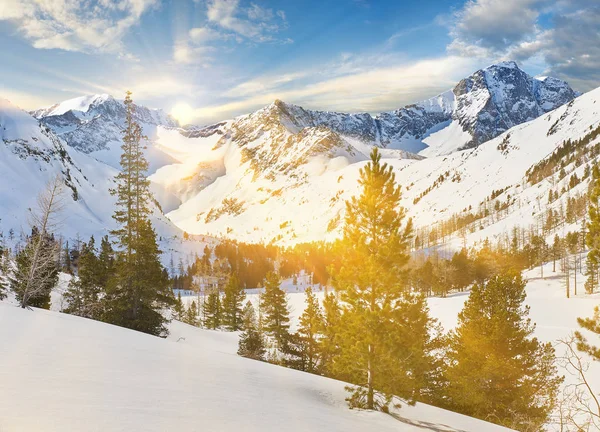 Beautiful winter landscape, Altai mountains,  Siberia, Russia. — Stock Photo, Image