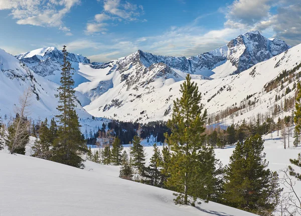 Beautiful winter landscape, Altai mountains,  Siberia, Russia. — Stock Photo, Image