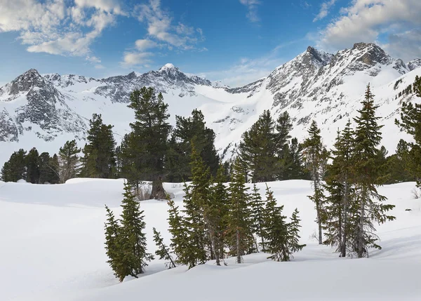 Güzel kış manzara, Altay Dağları, Sibirya, Rusya Federasyonu.