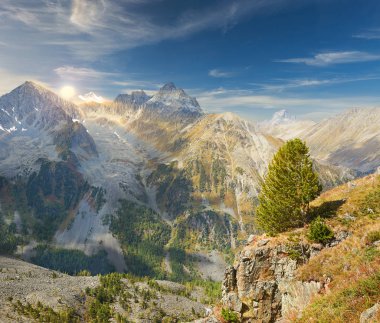 Güzel sonbahar manzara, Altay Dağları Rusya.