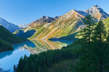 Güzel sonbahar manzara, Altay Dağları Rusya.