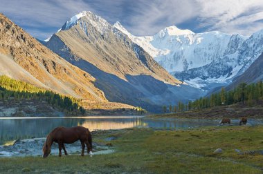 Güzel sonbahar manzara, Altay Dağları Rusya.