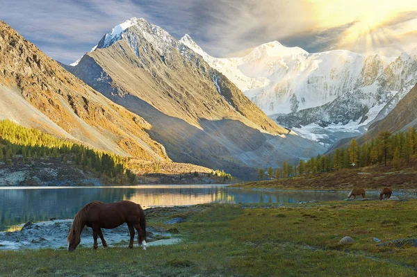 Güzel sonbahar manzara, Altay Dağları Rusya.