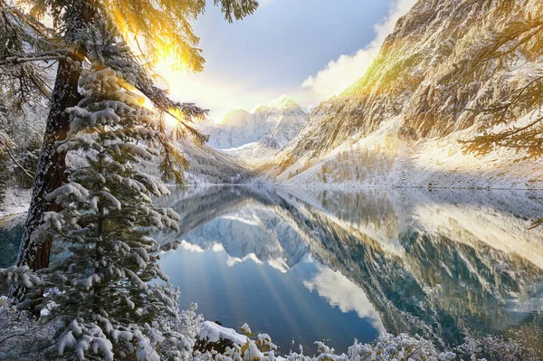 Altay Dağları, Rusya, Sibirya.