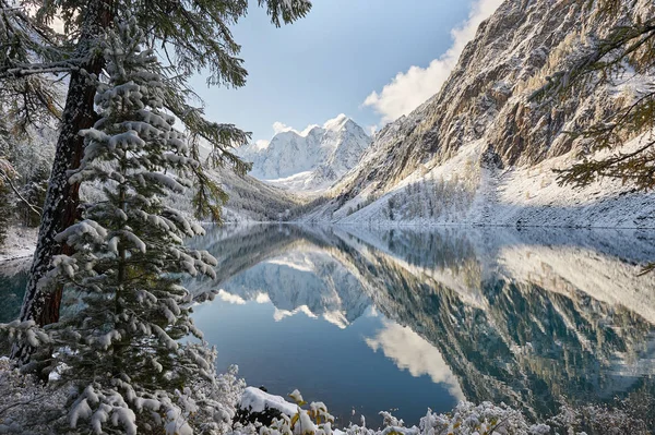 Altay Dağları, Rusya, Sibirya.