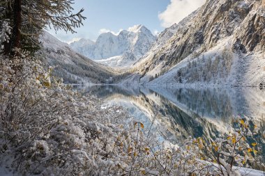 Altay Dağları, Rusya, Sibirya.