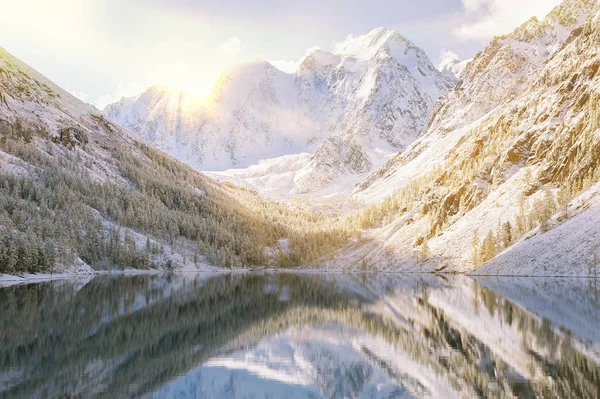 Montañas Altai, Rusia, Siberia . —  Fotos de Stock