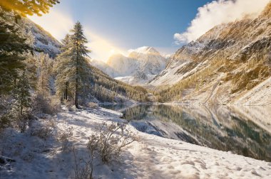 Altay Dağları, Rusya, Sibirya.