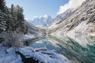 Altay Dağları, Rusya, Sibirya.
