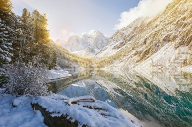 Altay Dağları, Rusya, Sibirya.