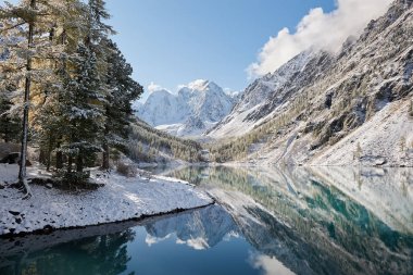 Altay Dağları, Rusya, Sibirya.