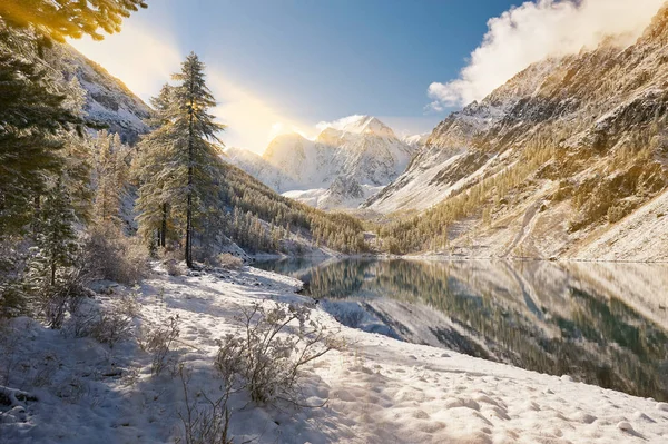 Altaï montagnes, Russie, Sibérie . — Photo