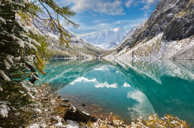 Altay Dağları, Rusya, Sibirya.