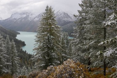 Dağlar, kış karlı ormanlar.