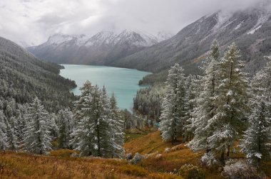Dağlar, kış karlı ormanlar.