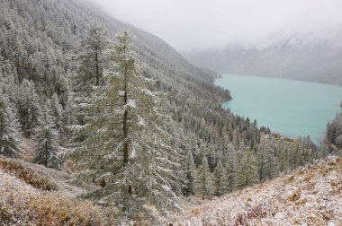Dağlar, kış karlı ormanlar.