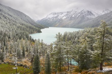 Dağlar, kış karlı ormanlar.