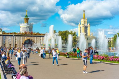 Çeşme taşı çiçeği ve Pavyon 