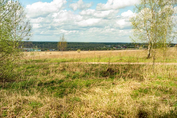 Natureza Região Moscou Vista Floresta Primavera Perto Moscovo Oblast Russia — Fotografia de Stock