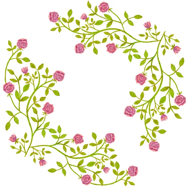 Ręcznie Rysowane Róże Ramka Kwiaty Kwiatowy Obramowanie Dla Kartki Okolicznościowej — Zdjęcie stockowe