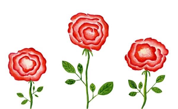 El çizimi gül posteri, guaj resmi, tebrik kartı, davetiye, baskı, duvar resmi, çiçek posteri, botanik sanatı, çiçek tarzı.