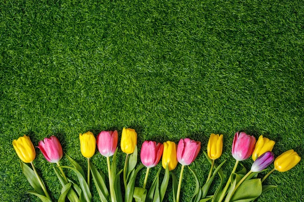 Tulipanes de colores sobre hierba verde en el parque . — Foto de Stock