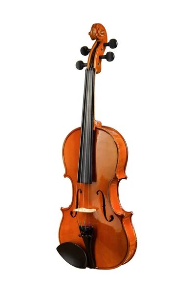 Violino Sobre Fundo Branco — Fotografia de Stock