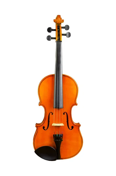 Violin Vit Bakgrund — Stockfoto