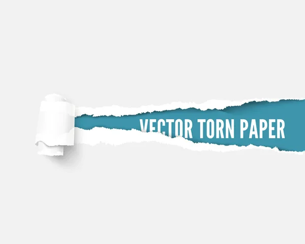 Papel de paquete blanco desgarrado para revelar el panel azul ideal para espacio de copia — Vector de stock
