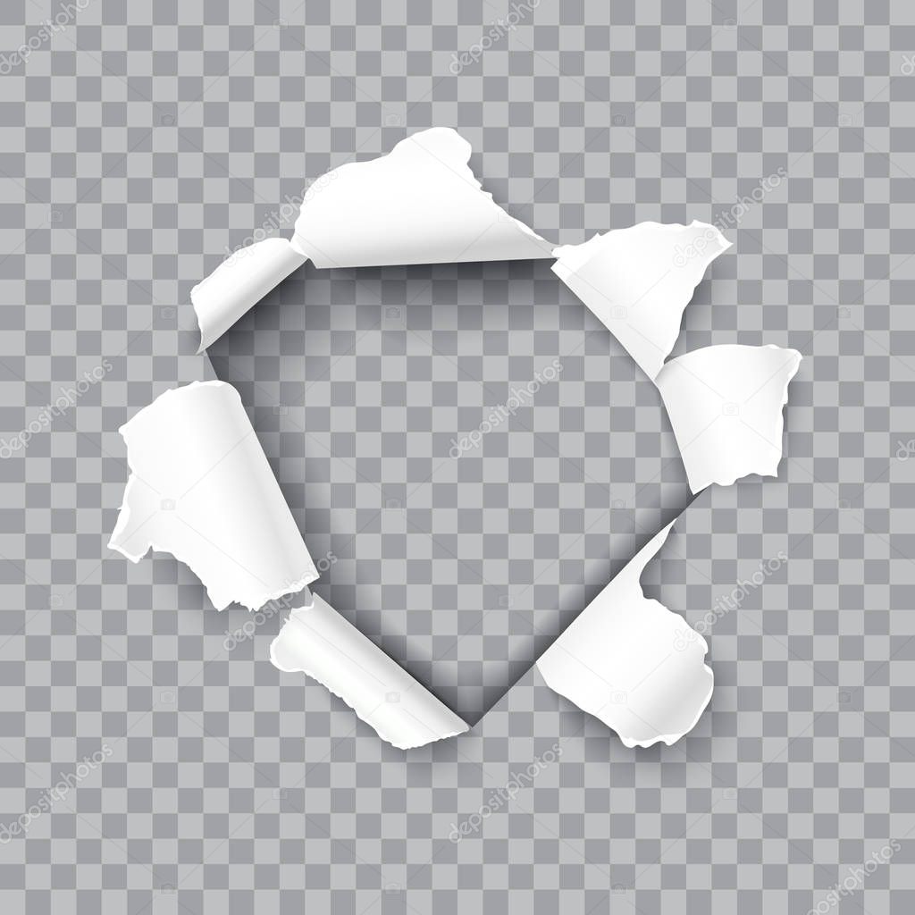 Torn paper realistic vector illustration