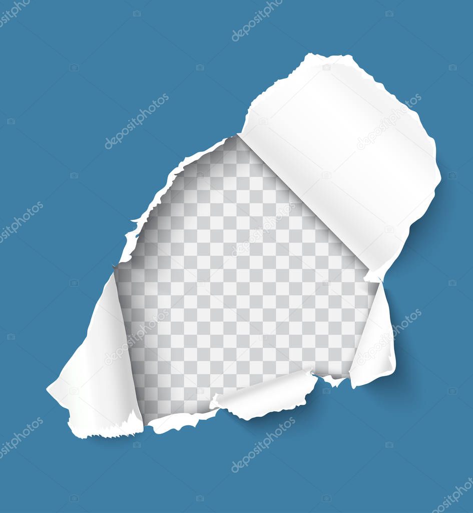 Torn paper realistic vector illustration
