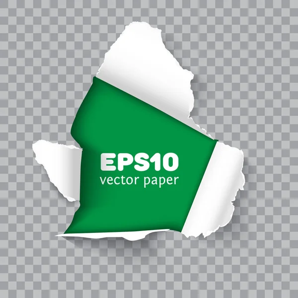 Torn paper realistic vector illustration — Stock Vector