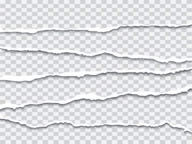 Yırtık kağıt gerçekçi vektör çizim