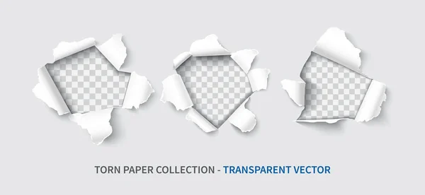 Paper hole set realistic vector — Stock Vector