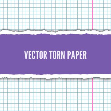 Yırtık defter kağıt parçaları gerçekçi vektör