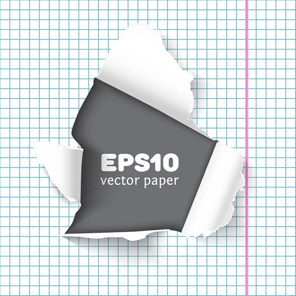 Torn notebook paper pieces realistic vector — Stock Vector