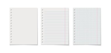 Kağıt levha vektör gerçekçi çizim