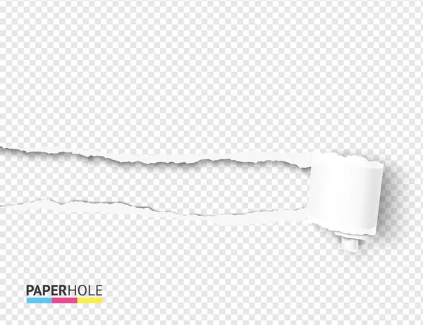 Vector lege scheur van papier krullend scroll en gescheurde gat randen op een transparante achtergrond voor een verkoop advertentie banner — Stockvector