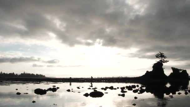 Caméra Panoramique Large Prise Marée Basse Sur Côte Oregon Avec — Video