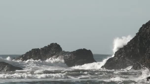 Grandi Onde Oceaniche Che Infrangono Sulle Pareti Rocciose Del Pacifico — Video Stock