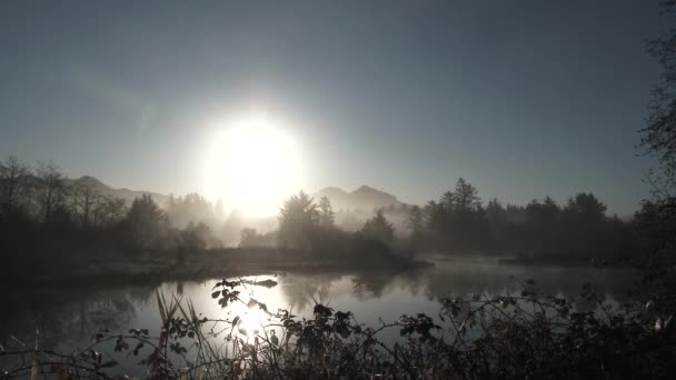 Lever de soleil sur la forêt calme avec des oiseaux chantant le matin comme le brouillard et la brume dansent sur le lac intact .