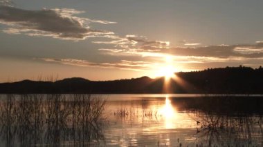 Real time scenic during sunrise over forest hillside at beautiful calm lake in the summer.