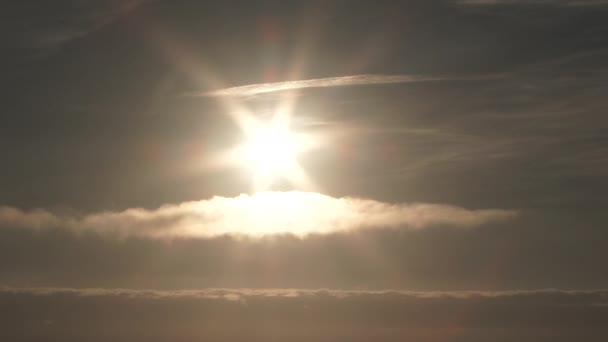 Mouette Volant Dans Ciel Ensoleillé Brillant Élevant Loin Hors Cadre — Video