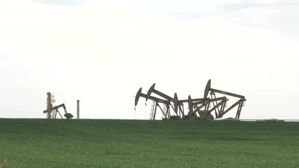 Group Large Oil Rigs Pumping Wells Green Fields Sunshine Passing — ストック動画