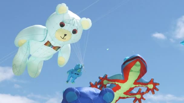 Giant Kites Flying High Beautiful Blue Sky Day Fresh Breeze — Stok video