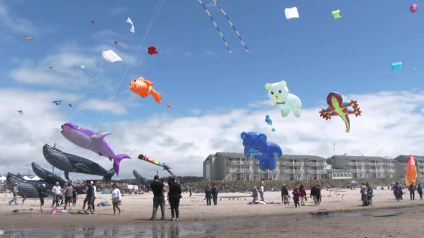 People Beach Enjoy Summer Day Kite Festival Wide Establishing Shot — ストック動画